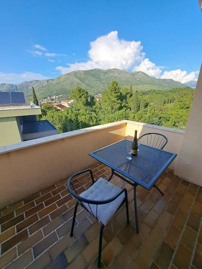 Guesthouse Villa Stanovic Vlaho Cavtat Exterior photo